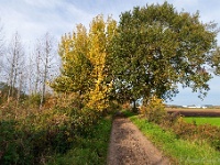 20191116 0051 : Wandelingen