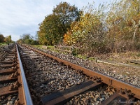20191116 0056 : Wandelingen