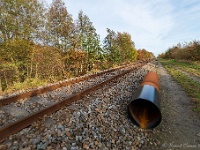20191116 0061 : Wandelingen