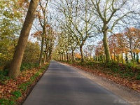 20191116 0071 : Wandelingen