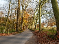 20191116 0076 : Wandelingen