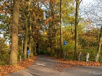 20191116 0077 : Wandelingen