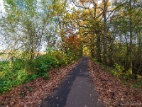 20191116 0081 : Wandelingen