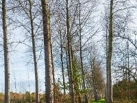20191116 0085 : Wandelingen