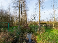 20191116 0087 : Wandelingen