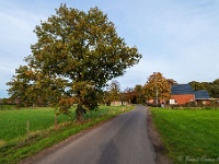 20191116 0102 : Wandelingen