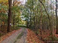 20191116 0111 : Wandelingen