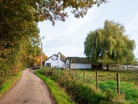 20191116 0113 : Wandelingen