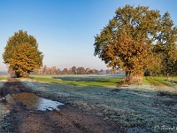 20191120 0001 : Wandelingen