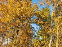 20191120 0004 : Wandelingen