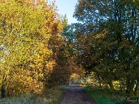 20191120 0009 : Wandelingen