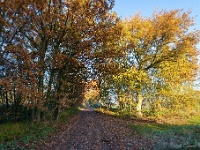20191120 0010 : Wandelingen