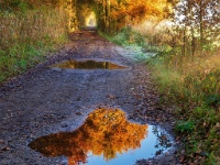 20191120 0013 : Wandelingen