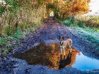 20191120 0016 : Wandelingen