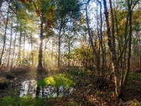 20191120 0022 : Wandelingen