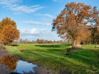 20191129 0002 : Wandelingen