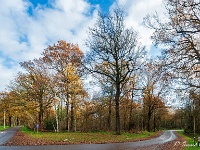 20191129 0010 : Wandelingen