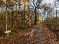 20191129 0011 : Wandelingen