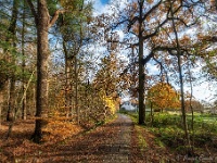 20191129 0012 : Wandelingen