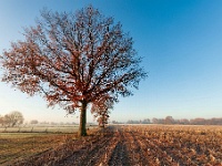 20191204 0002 : Wandelingen