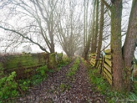 20191204 0010 : Wandelingen