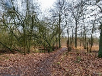20191208 0004 : Wandelingen, Beverbeek
