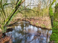 20191208 0007 : Wandelingen, Beverbeek