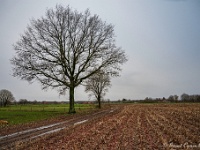 20191214 0002 : Wandelingen