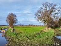 20191215 0013 : Wandelingen