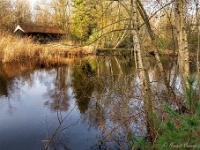 20191215 0017 : Wandelingen