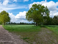 20210516 0150 : Plaatsen, Belgie, Hamont-Achel, Wandelingen, Achterhoek