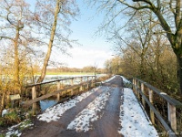 20210125 0082  Koebroekerweg : Orval Trappisten wandelroute 2021, De Tomp