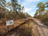 20210131 0008  Dit gaat nog mooi worden : Rochefort Trappisten wandelroute 2021