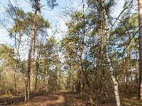 20210131 0010  Harterheide : Rochefort Trappisten wandelroute 2021