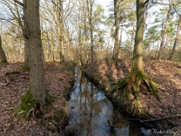 20210131 0020  Pastoorsbeek : Rochefort Trappisten wandelroute 2021