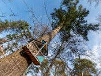 20210131 0032  Blik naar boven : Rochefort Trappisten wandelroute 2021
