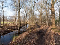 20210131 0062  Beverbeek : Rochefort Trappisten wandelroute 2021