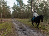 20210131 0082  De Zonberg : Rochefort Trappisten wandelroute 2021