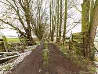 20210124 0007 : Rond de deur, Wandelingen, Achterhoek