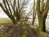20210124 0008 : Rond de deur, Wandelingen, Achterhoek