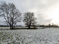 20210124 0012 : Rond de deur, Wandelingen, Achterhoek