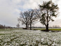 20210124 0018 : Rond de deur, Wandelingen, Achterhoek