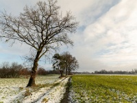 20210124 0019 : Rond de deur, Wandelingen, Achterhoek