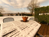 20210124 0048 : Rond de deur, Wandelingen, Onze tuin