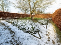 20210124 0056 : Rond de deur, Wandelingen, Onze tuin