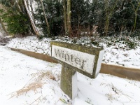 20210207 0115  Winter in de Winter : Sneeuwwandeling 2021