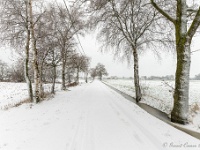 20210207 0118  Winter : Sneeuwwandeling 2021