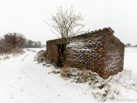 20210207 0130  De Congo : Sneeuwwandeling 2021