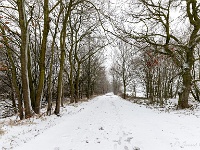 20210207 0134  Gijbels : Sneeuwwandeling 2021