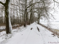 20210207 0136  Gijbels : Sneeuwwandeling 2021